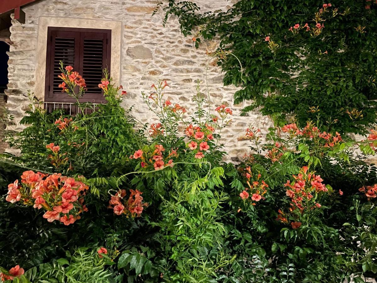 Borgata Cantone Country House B&B Garlenda Eksteriør billede